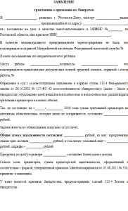 Банкротство физических лиц инструкция