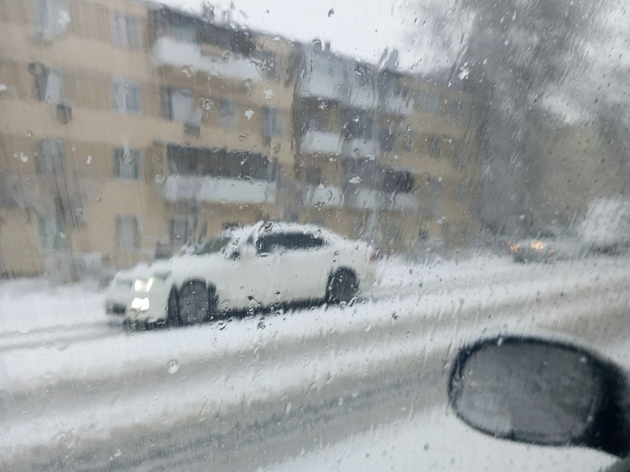 В реестре залогов нет сведений о залогодержателе